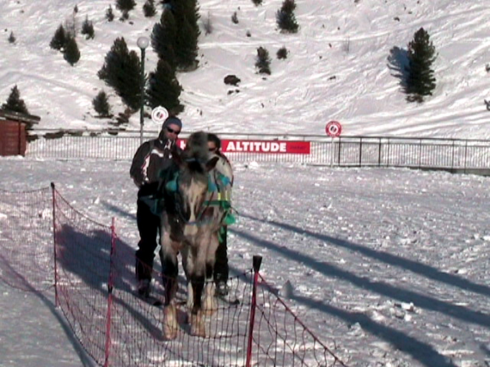 2005-02 ski 018.jpg